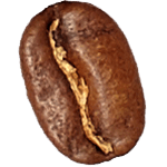 Arabica Bohne