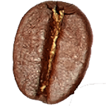 Robusta Bohne